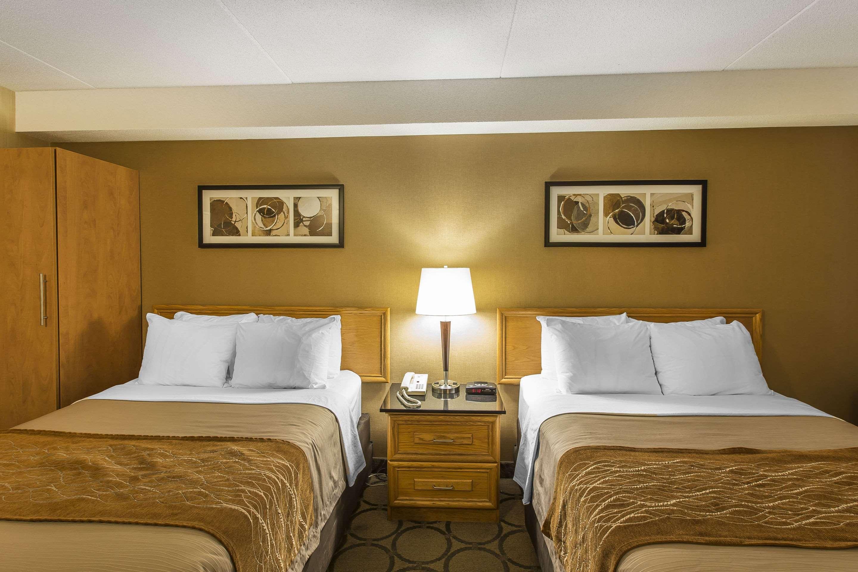 Comfort 3* Corner Brook