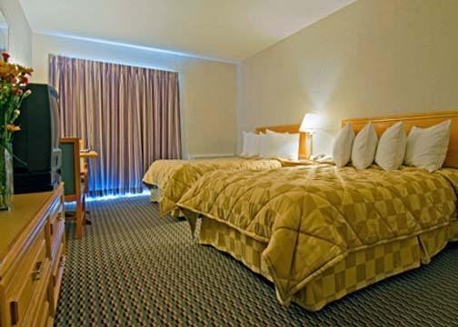 Comfort 3*