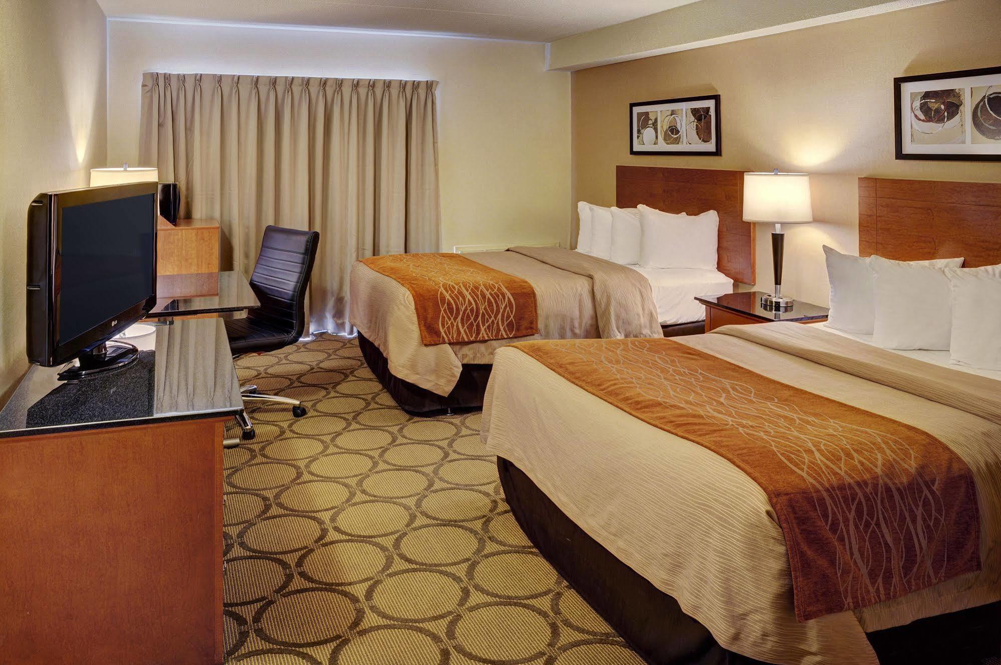 Comfort 3* Corner Brook